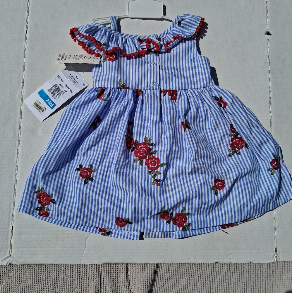 Rare Editions 24 Month Blue Rose Dress With Bloomers